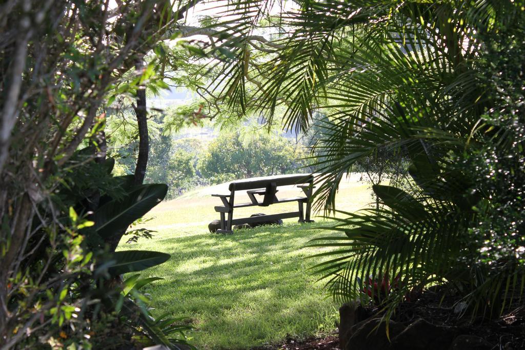 Tropical Coast Retreat - Pet Friendly - Adult Only Guest House Кингсклиф Екстериор снимка
