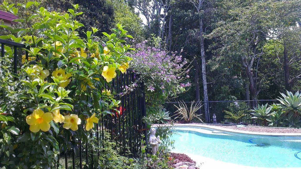 Tropical Coast Retreat - Pet Friendly - Adult Only Guest House Кингсклиф Екстериор снимка