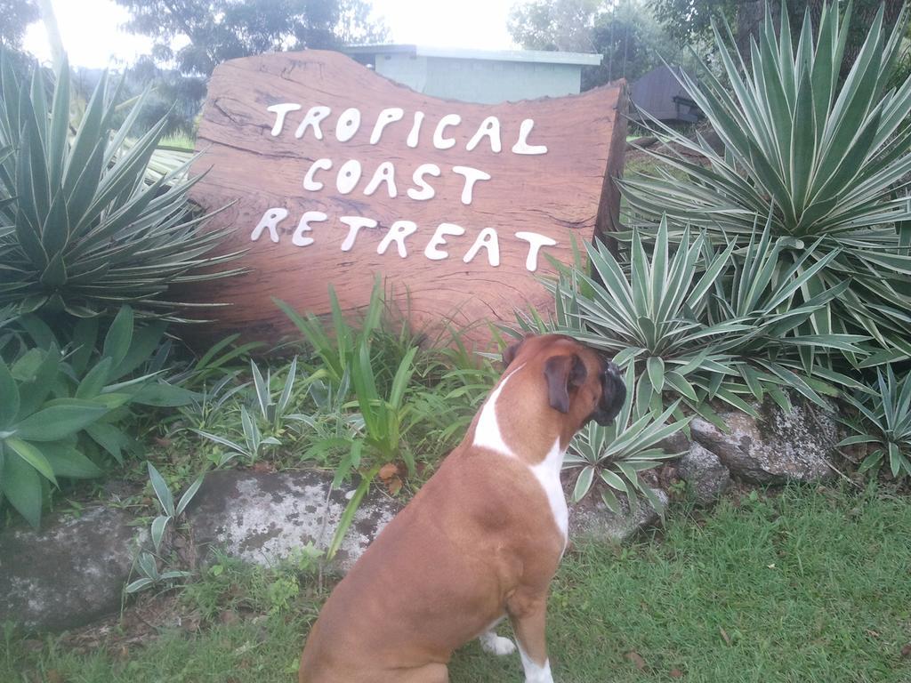 Tropical Coast Retreat - Pet Friendly - Adult Only Guest House Кингсклиф Екстериор снимка